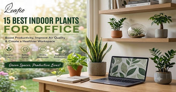 15 Best Indoor Plants for Office to Create a Greener and More Productive Workspace