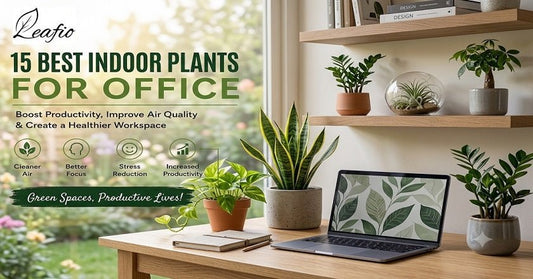 15 Best Indoor Plants for Office to Create a Greener and More Productive Workspace