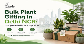 Explore the complete guide to Bulk Plant Gifting in Delhi NCR