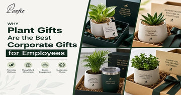 Plant Gifts Are the Best Corporate Gifts for Employees