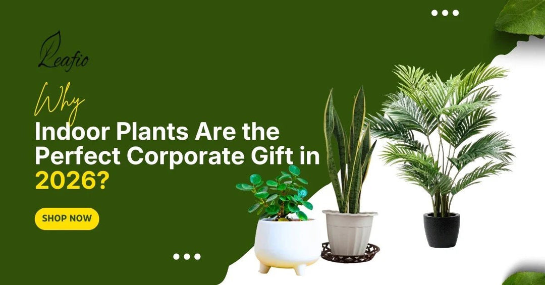 corporate gift in 2026
