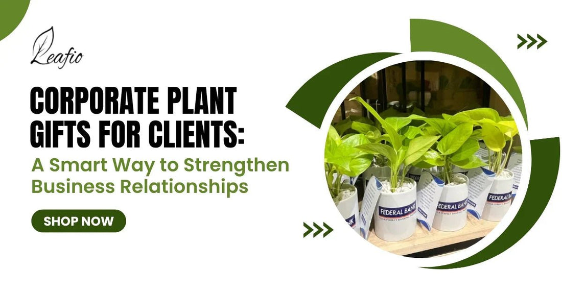 corporate plant gifts for clients