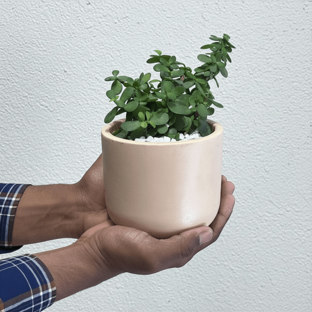 Luxury Paper Pottery Collection
