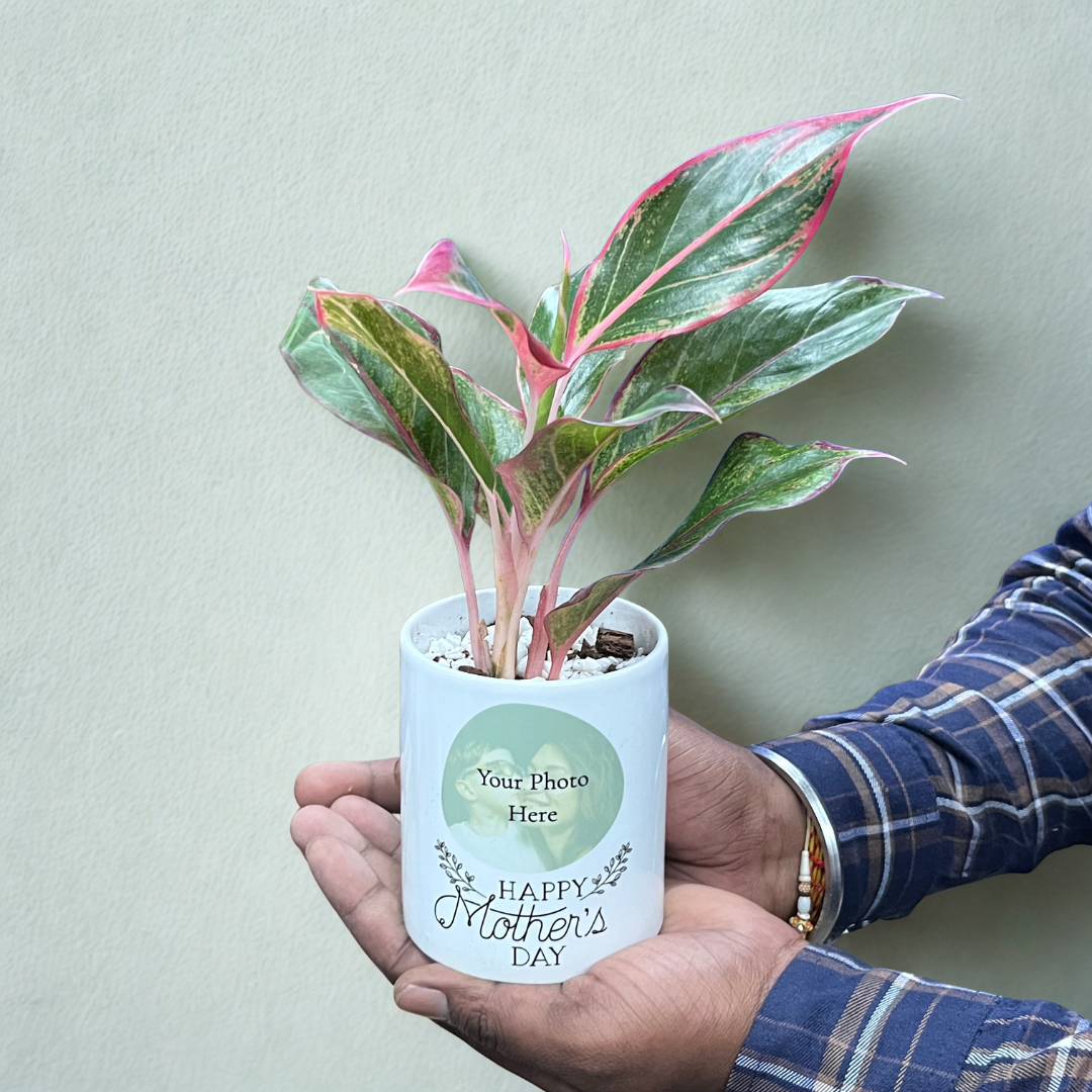 Mother's Day Photo Planter with Red Aglaonema