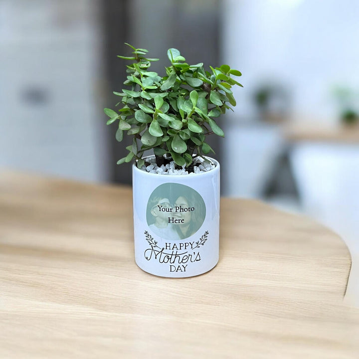 Mother's Day Photo Planter with Lucky Jade Plant