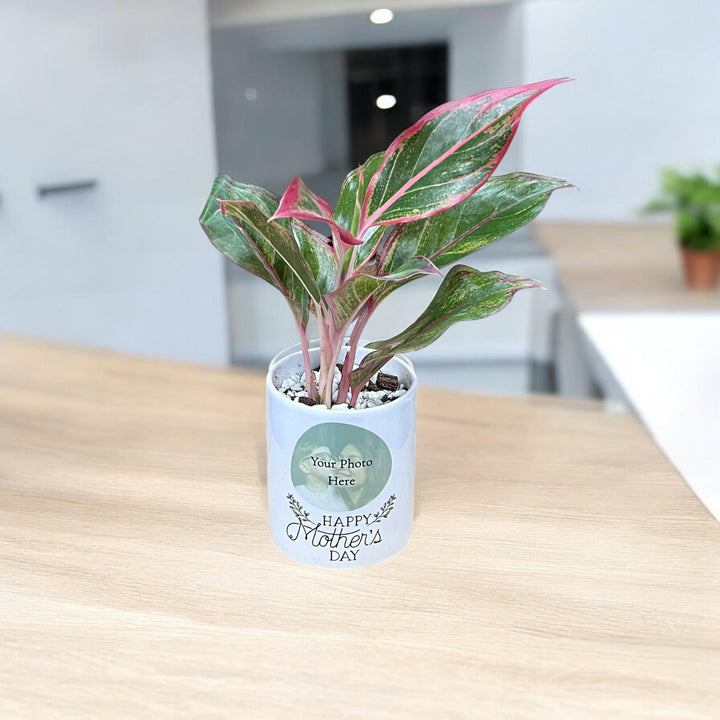 Mother's Day Photo Planter with Red Aglaonema