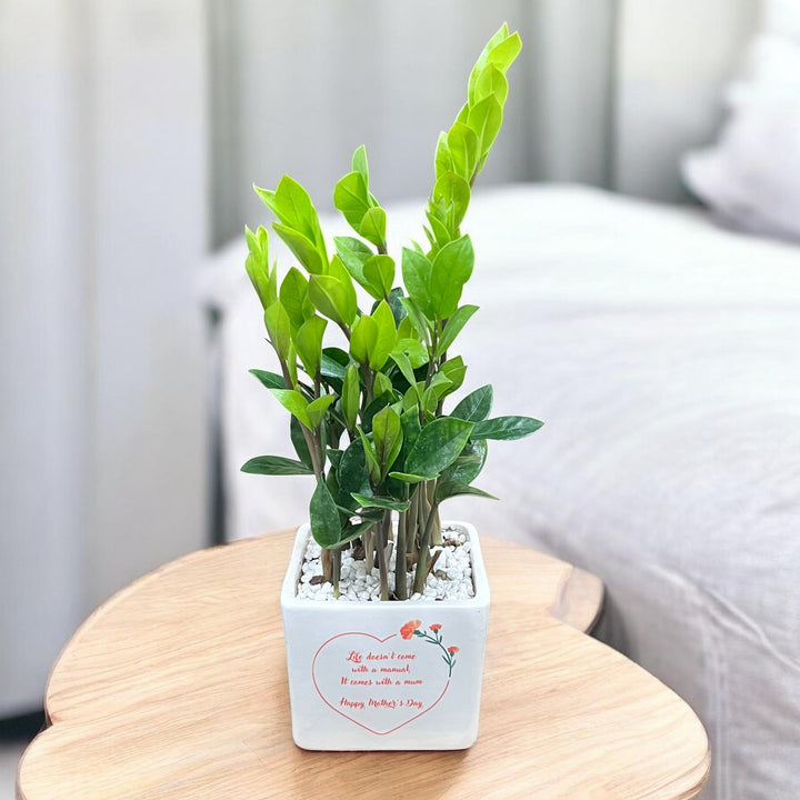 Mother's Day Quote Medium Square with ZZ Plant