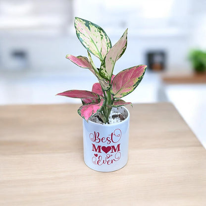Best Mom Ever Pink Aglaoenma