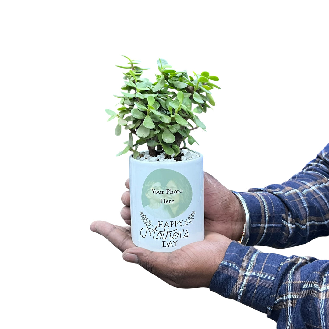 Mother's Day Photo Planter with Lucky Jade Plant